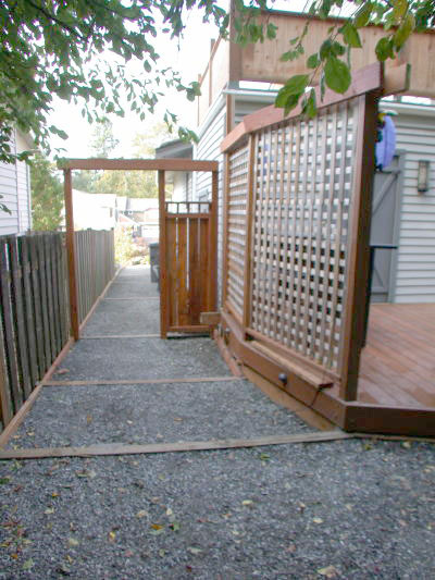 Lower level fireplace